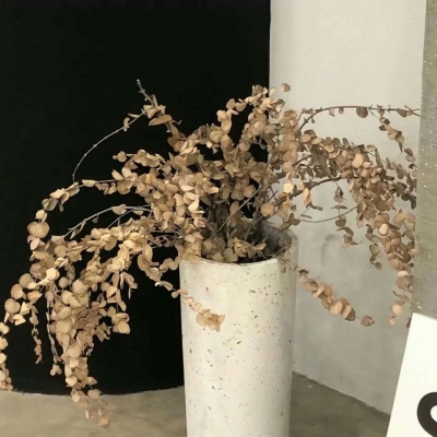 新抚福瑞交流群